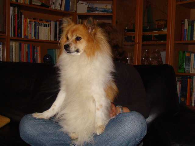 Bessy überblickt alles