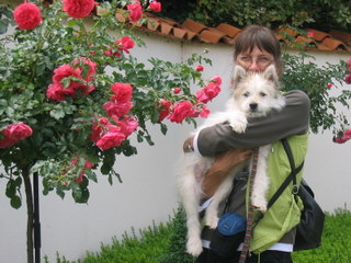 Hunde Elo Wuotan als Welpe auf dem Arm von Frauchen