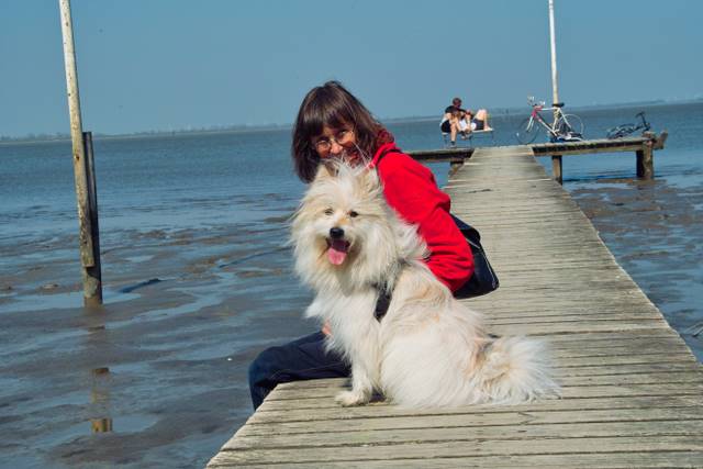 Urlaub an der See mit Hund 250410 Dangast 024