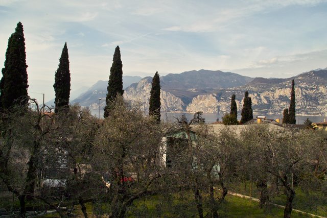 Blick aus der Ferienwohnung Gardasee