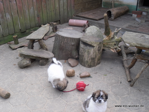 Elofarm 10 2011 5.jpg